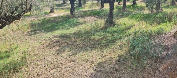 Hotel en Zakynthos, Greece No. 669 12