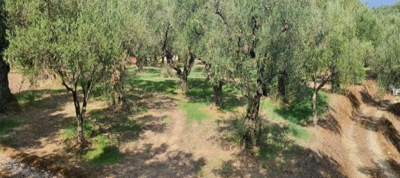 Hotel en Zakynthos, Greece No. 669 16