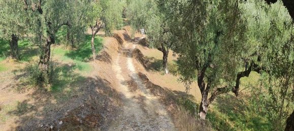 Hotel en Zakynthos, Greece No. 669 11