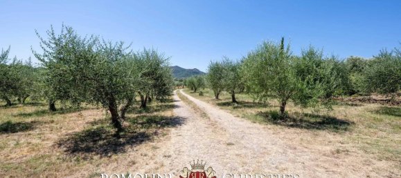 6 bedrooms Villa in Castiglione della Pescaia, Italy No. 259487 24