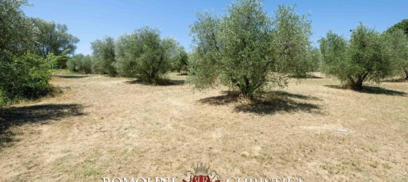 6 bedrooms Villa in Castiglione della Pescaia, Italy No. 259487 20