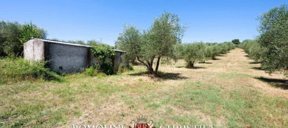 6 bedrooms Villa in Castiglione della Pescaia, Italy No. 259487 22