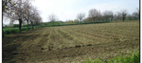 Grundstück in Orta di Atella, Italy 26360m², Nr. 376743 8