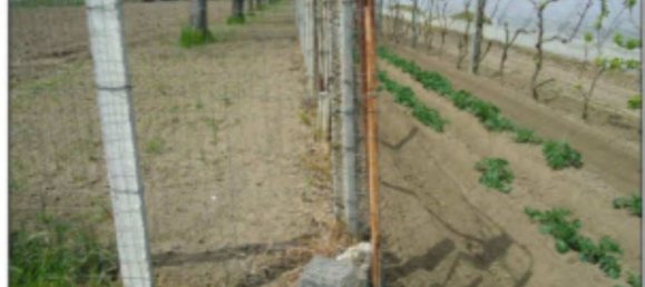 Grundstück in Orta di Atella, Italy 26360m², Nr. 376743 21