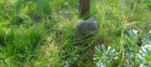 Grundstück in Orta di Atella, Italy 26360m², Nr. 376743 4