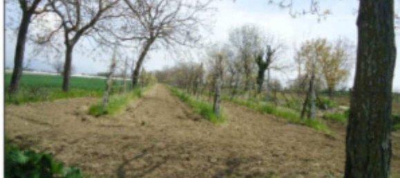 Grundstück in Orta di Atella, Italy 26360m², Nr. 376743 5