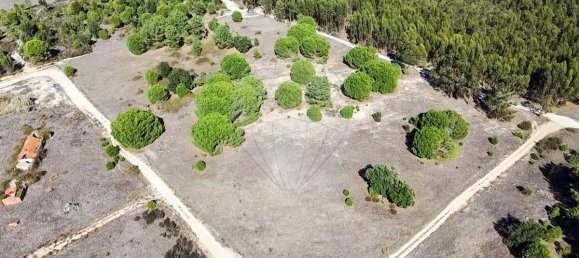 20530m² Land in Benavente, Portugal No. 62213 3