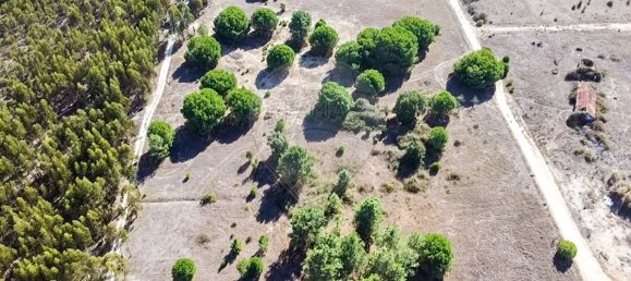 20530m² Land in Benavente, Portugal No. 62213 4