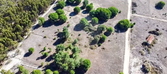 20530m² Land in Benavente, Portugal No. 62213 5