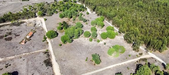 20530m² Land in Benavente, Portugal No. 62213 7
