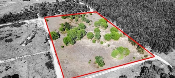 20530m² Land in Benavente, Portugal No. 62213 6