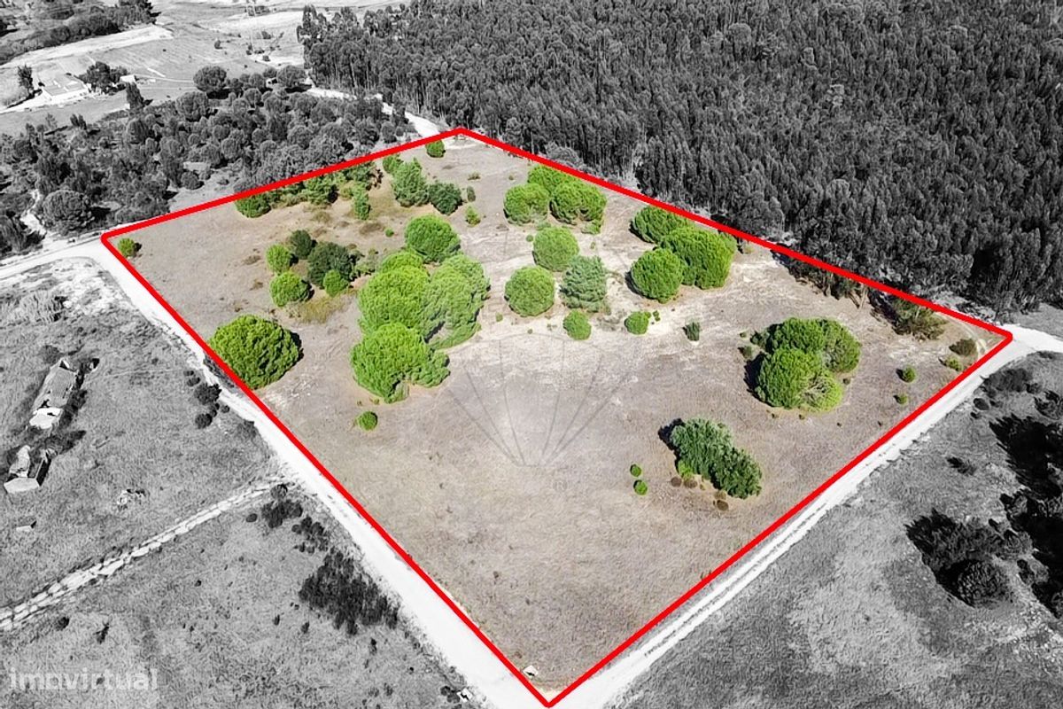 20530m² Land in Benavente, Portugal No. 62213