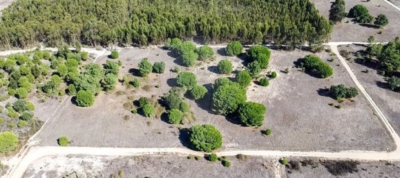 20530m² Land in Benavente, Portugal No. 62213 2