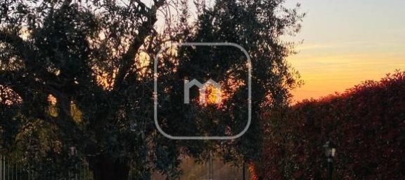 9-Zimmer Haus in Grottaferrata, Italy, Nr. 32566 98