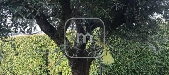 9-Zimmer Haus in Grottaferrata, Italy, Nr. 32566 88