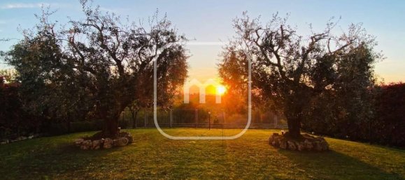 9-Zimmer Haus in Grottaferrata, Italy, Nr. 32566 68