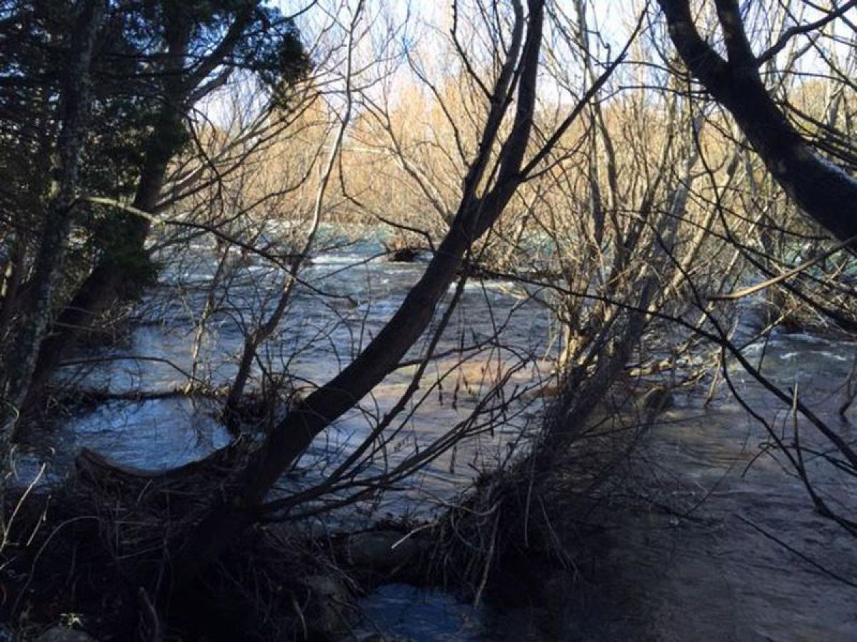  Land in Neuquen, Argentina No. 42344