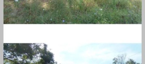 5 bedrooms Apartment in Sogliano al Rubicone, Italy No. 324181 16