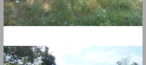 5 bedrooms Apartment in Sogliano al Rubicone, Italy No. 324181 25