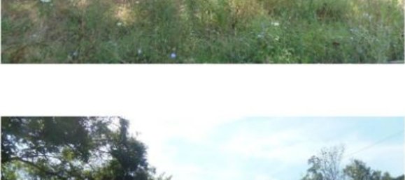 5 bedrooms Apartment in Sogliano al Rubicone, Italy No. 324181 6