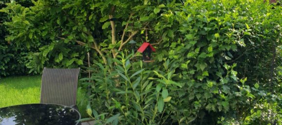 Adosado de 2 dormitorios en Lichtenrade, Germany No. 364271 9