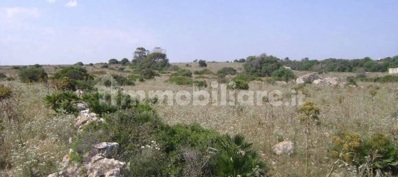 186000m² Land in Portopalo di Capo Passero, Italy No. 58898 4
