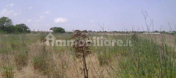 186000m² Land in Portopalo di Capo Passero, Italy No. 58898 25