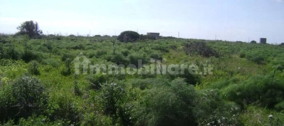 186000m² Land in Portopalo di Capo Passero, Italy No. 58898 28