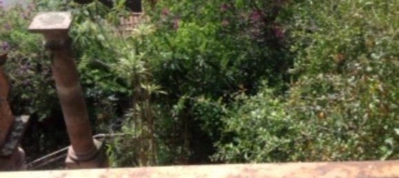 4 bedrooms House in Mexicali, Mexico No. 176480 2