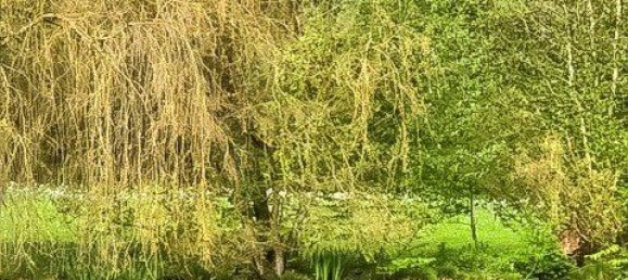 Apartamento de 2 habitaciónes en Stormarn, Germany No. 262565 15