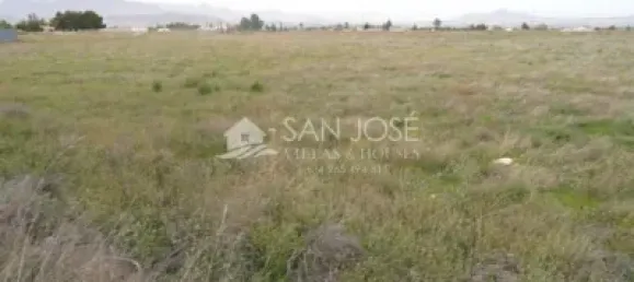 Land in Aspe, Spain No. 93926 4