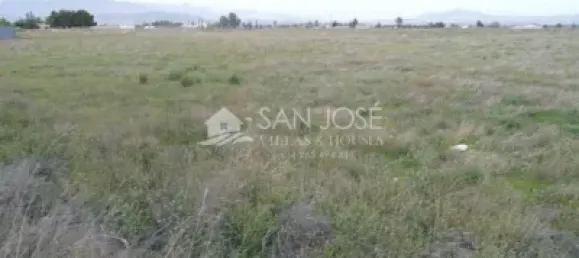 Land in Aspe, Spain No. 93926 12