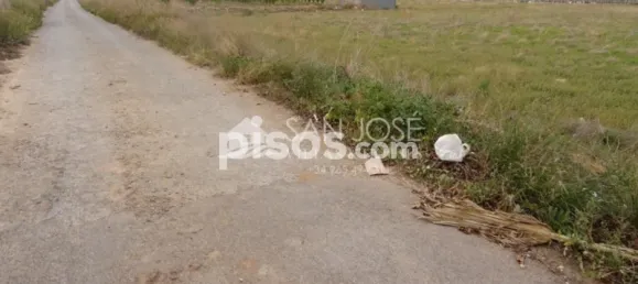 Land in Aspe, Spain No. 93926 10