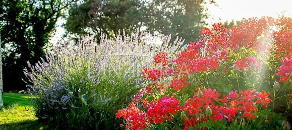 Casa de 15 divisões em Pomarance, Italy N.º 224886 8