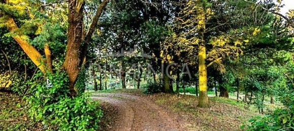 Casa de 15 divisões em Pomarance, Italy N.º 224886 13