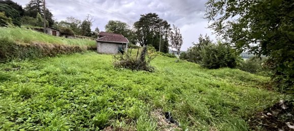 4 غرف نوم منزل في Haute-Marne, France رقم 300024 10