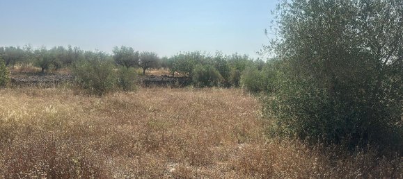 1 chambre Maison à Castellon, Spain No. 146755 6