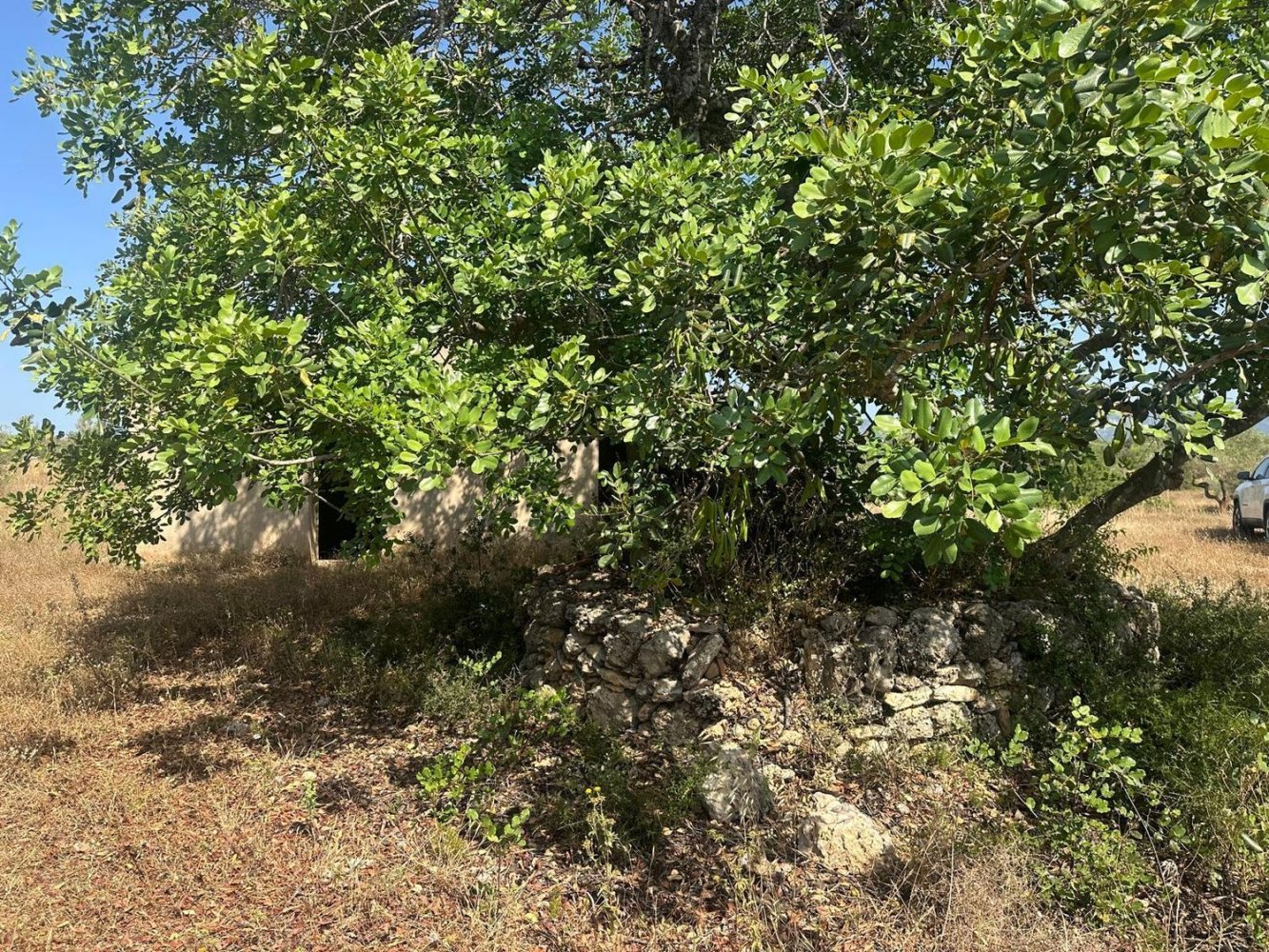 1 chambre Maison à Castellon, Spain No. 146755