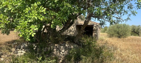1 chambre Maison à Castellon, Spain No. 146755 3