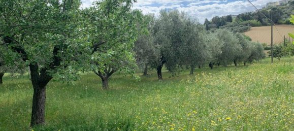 5-Zimmer Haus in Mosciano Sant'Angelo, Italy, Nr. 22693 13