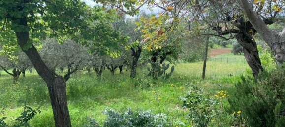 5-Zimmer Haus in Mosciano Sant'Angelo, Italy, Nr. 22693 6