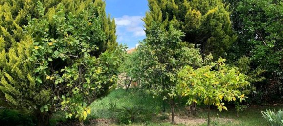 5-Zimmer Haus in Mosciano Sant'Angelo, Italy, Nr. 22693 4