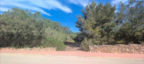  Land in Menorca, Spain No. 153724 5