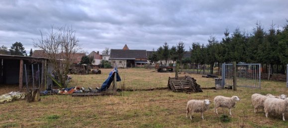 4 Schlafzimmer Bauernhof in Jerichower Land, Germany, Nr. 272171 11