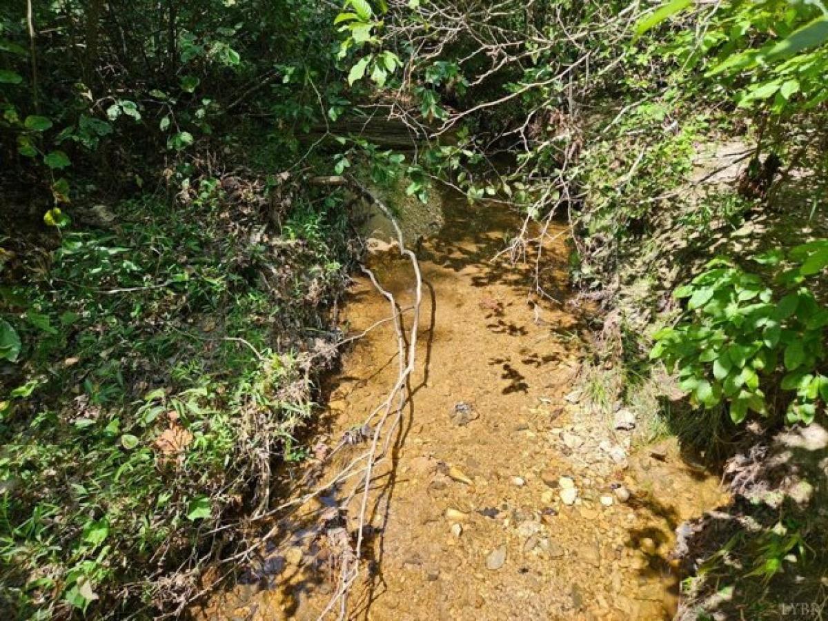  قطعة أرض في Gladstone, USA رقم 488089