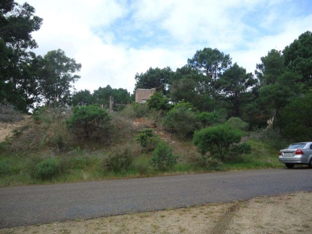  Land in Maldonado, Uruguay No. 14558