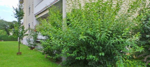 3 rooms Apartment in Feldbach, Austria No. 116817 2