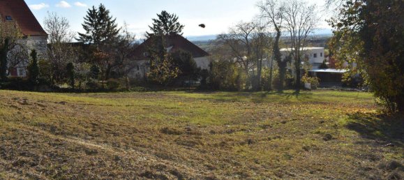 Terrain à Eisenstadt, Austria 1801m² No. 165696 4