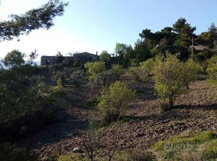 Terrain à Oriolo, Italy 150000m² No. 343582