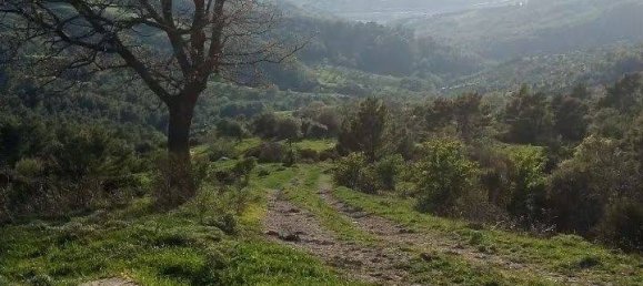 Terrain à Oriolo, Italy 150000m² No. 343582 5